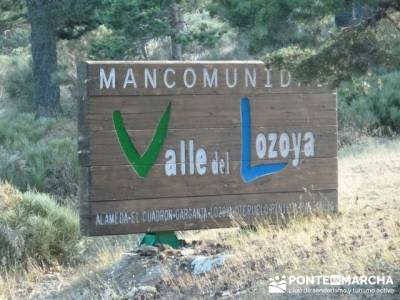 Senderismo a la luz de la luna - Cascada de San Mamés; zapatos para senderismo